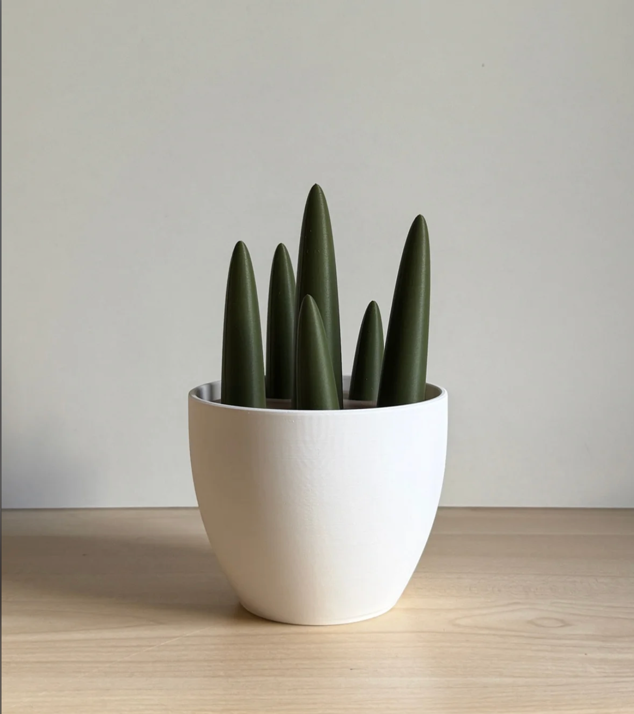 Porta gioielli a forma di pianta grassa